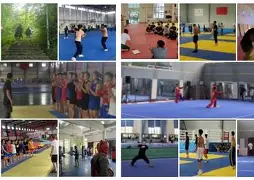 太狠了！葡萄牙体育内部沟通备战全明星赛集结日波士顿凯尔特人备战NBA总决赛，窗口期费耶诺德备战欧超杯